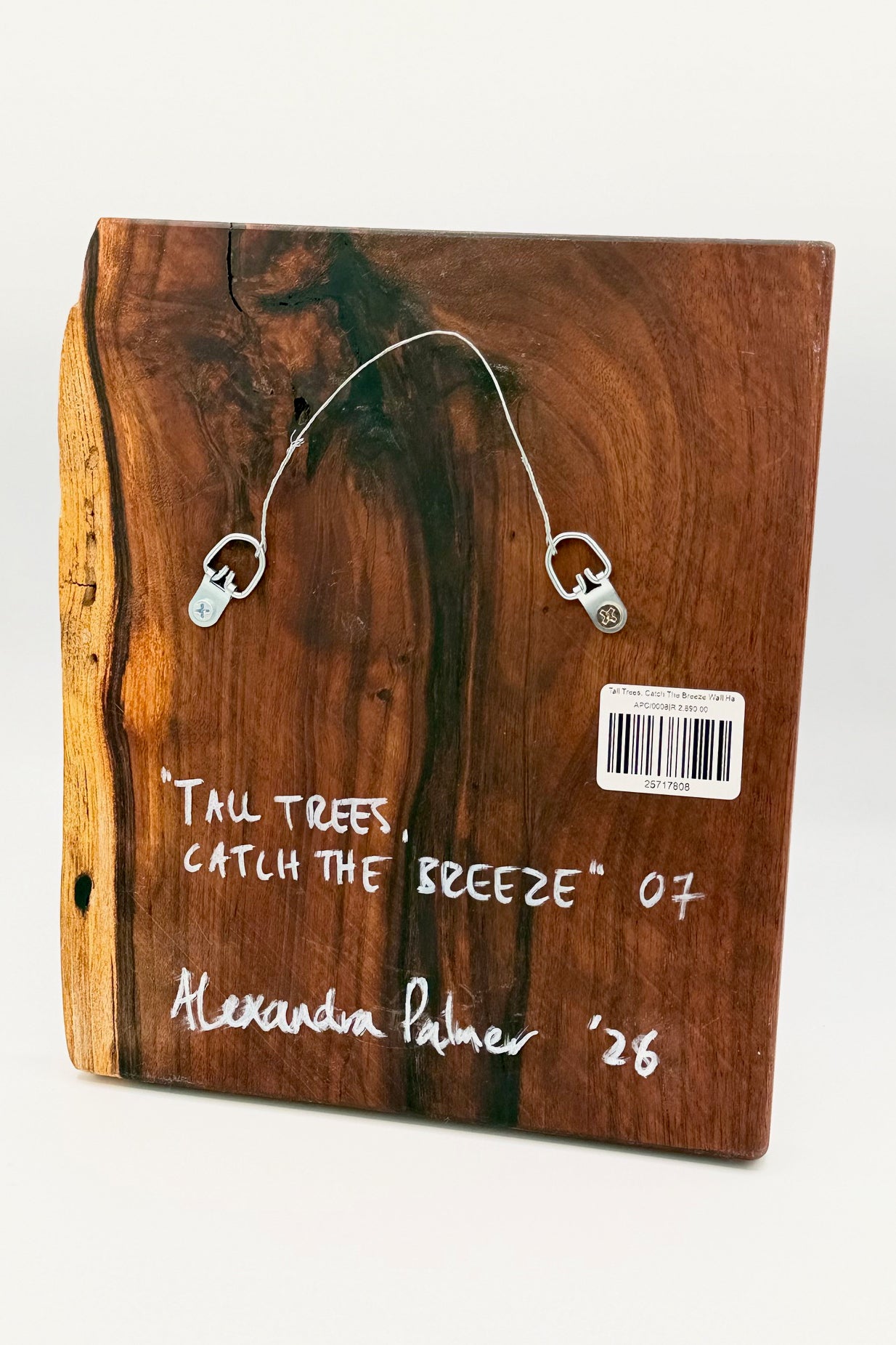 Tall Trees Catch the Breeze 07